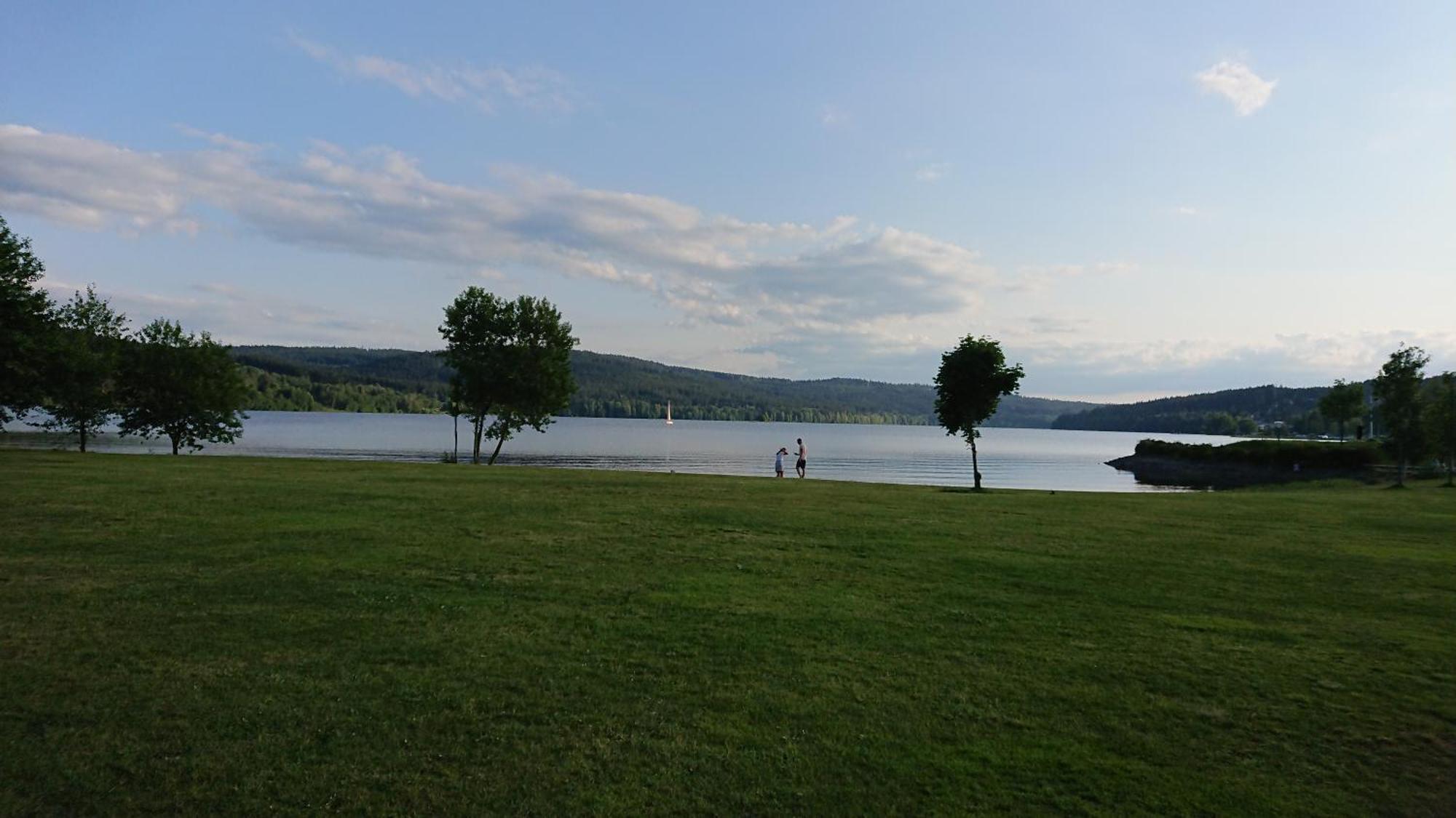 Villa Lipno99 à Lipno nad Vltavou Chambre photo